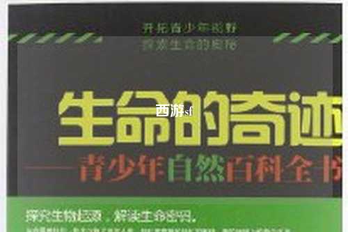 西游sf